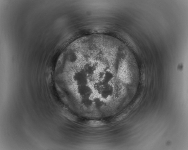 X0000099480169200805301626