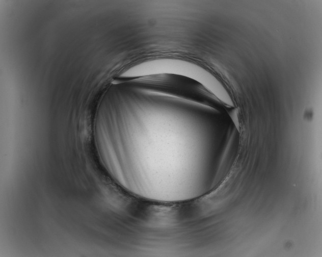 X0000099480170200805301626