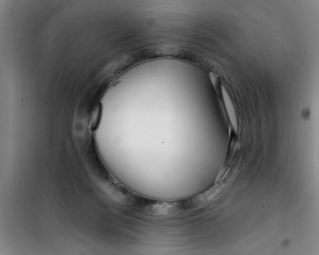 X0000099480172200805301626