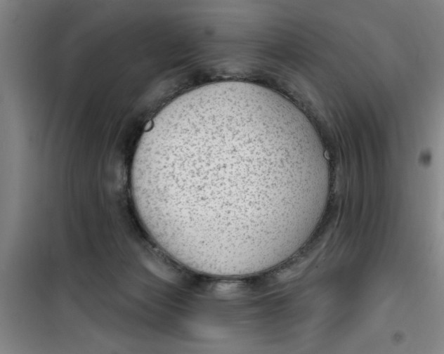 X0000099480173200805301626