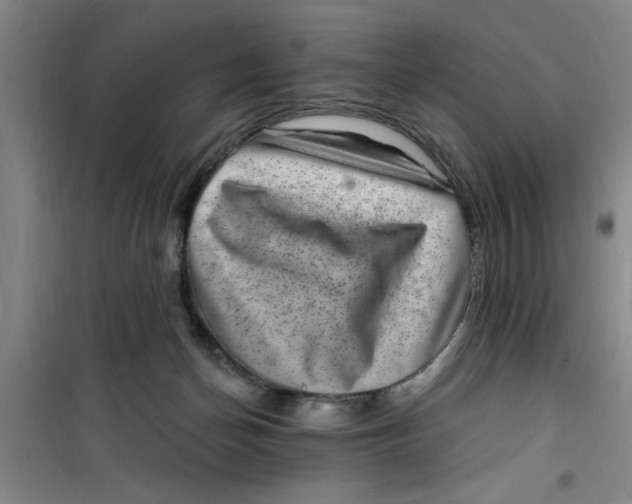 X0000099480174200805301626