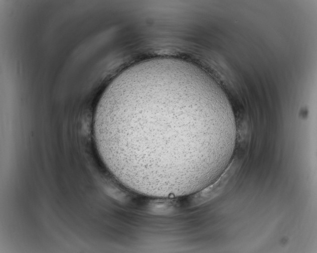 X0000099480175200805301626