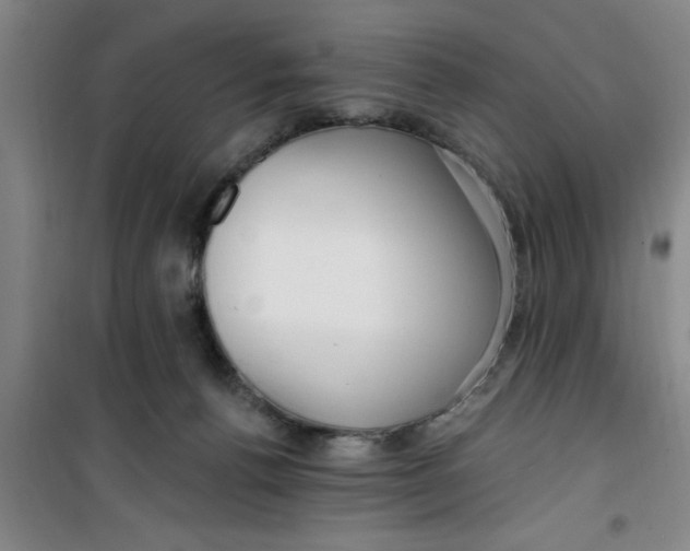 X0000099480176200805301626