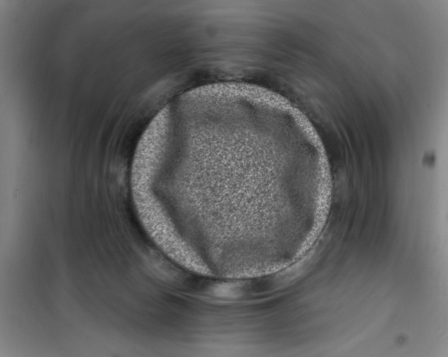 X0000099480178200805301626