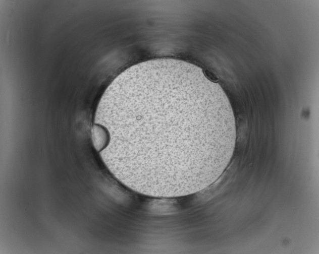 X0000099480179200805301626