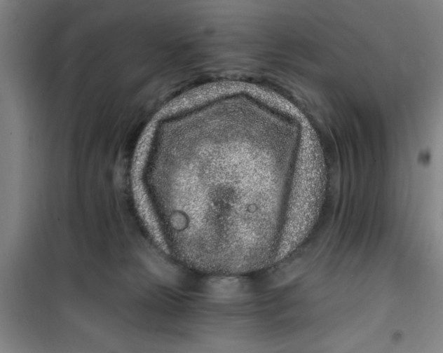 X0000099480181200805301626