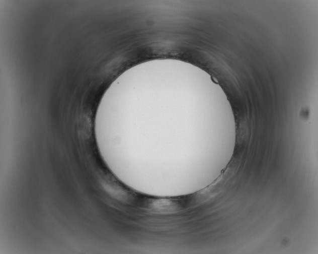 X0000099480183200805301626