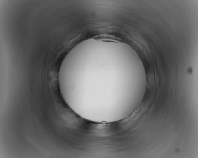 X0000099480184200805301626