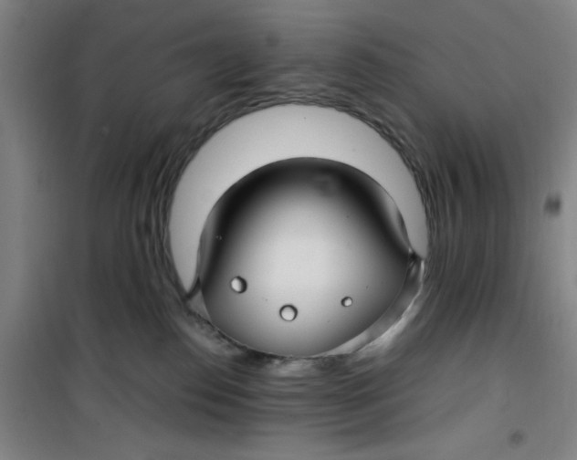 X0000099480186200805301626