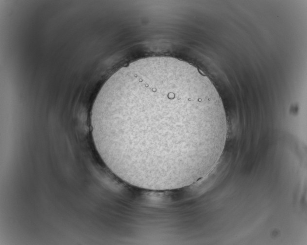 X0000099480187200805301626