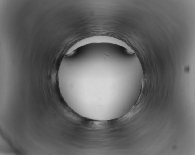 X0000099480188200805301626