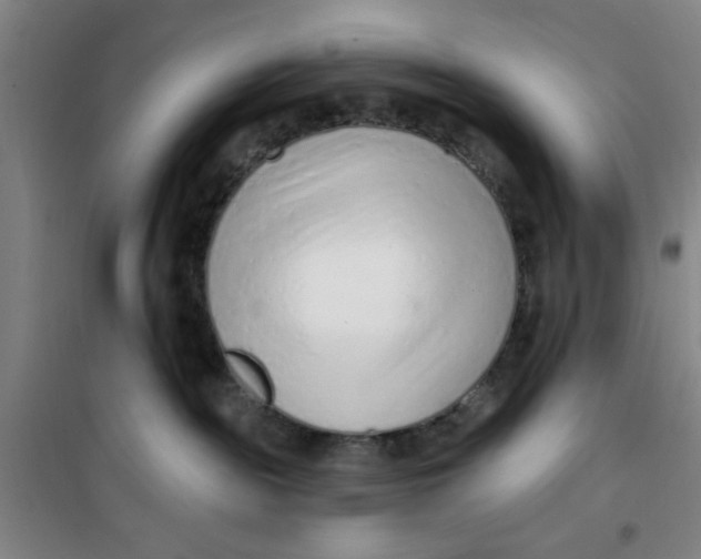 X0000099480189200805301627