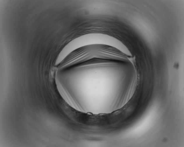 X0000099480190200805301627