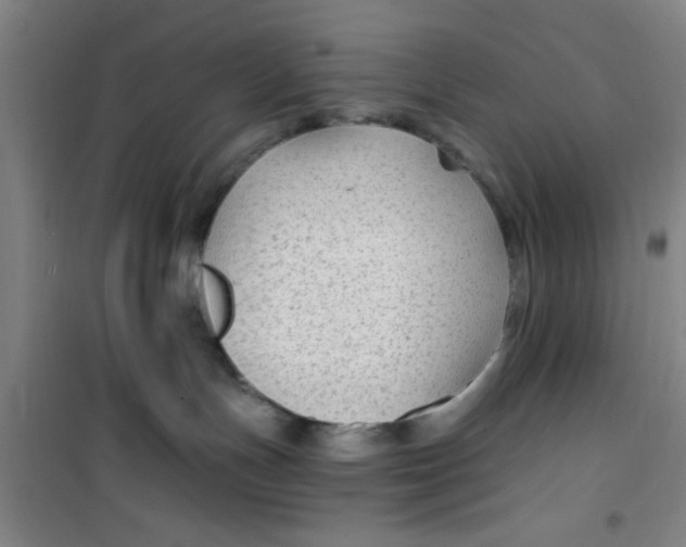 X0000099480191200805301627