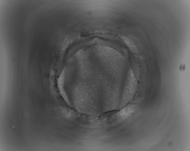 X0000099480192200805301627