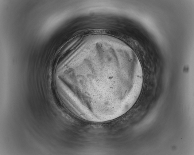 X0000099480194200805301626