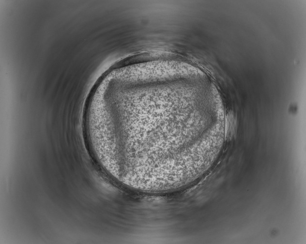 X0000099480195200805301626