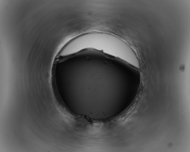 X0000099480196200805301626
