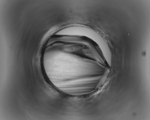 X0000099480197200805301626