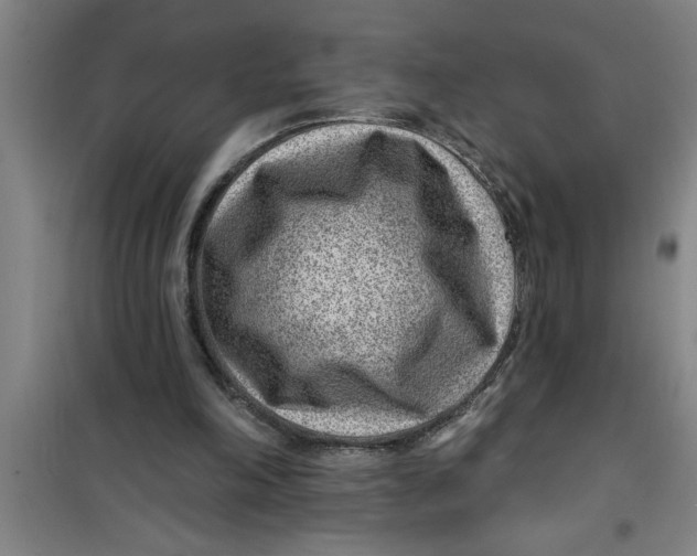 X0000099480198200805301626