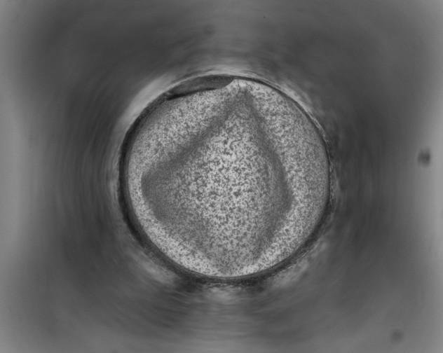 X0000099480199200805301626