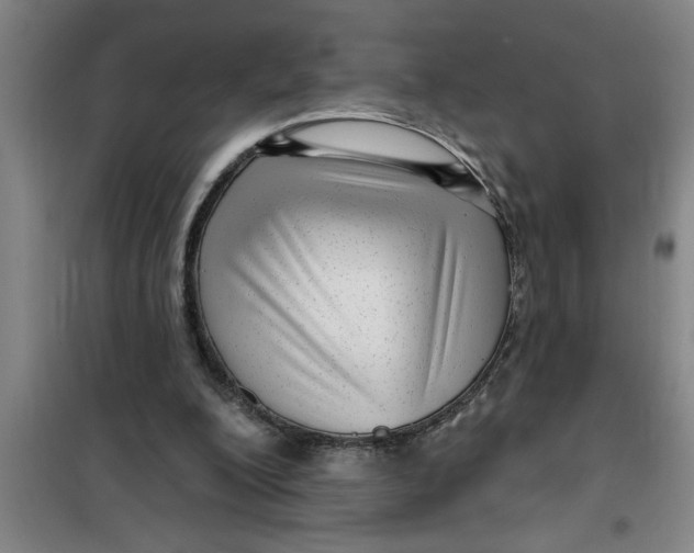 X0000099480200200805301626