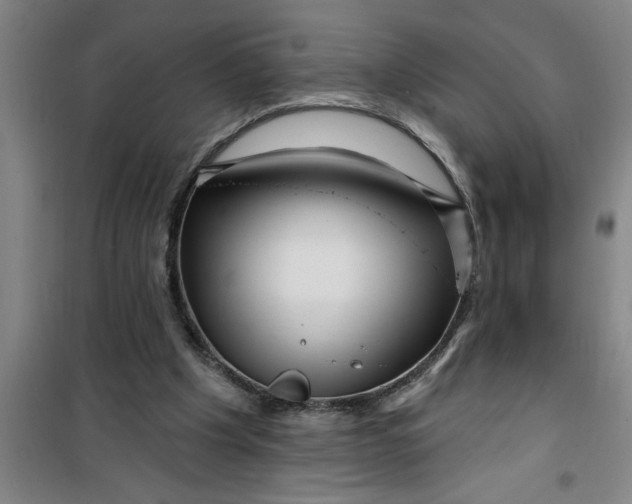 X0000099480201200805301626