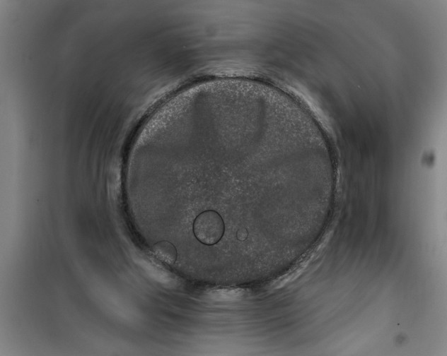 X0000099480202200805301626