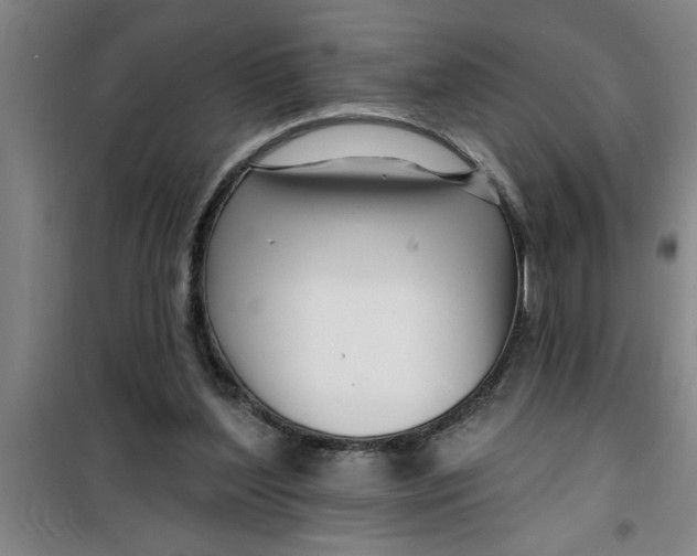 X0000099480204200805301626
