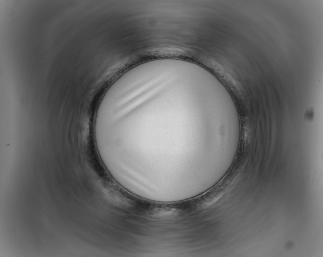 X0000099480206200805301626