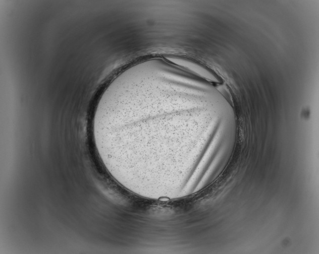 X0000099480207200805301626