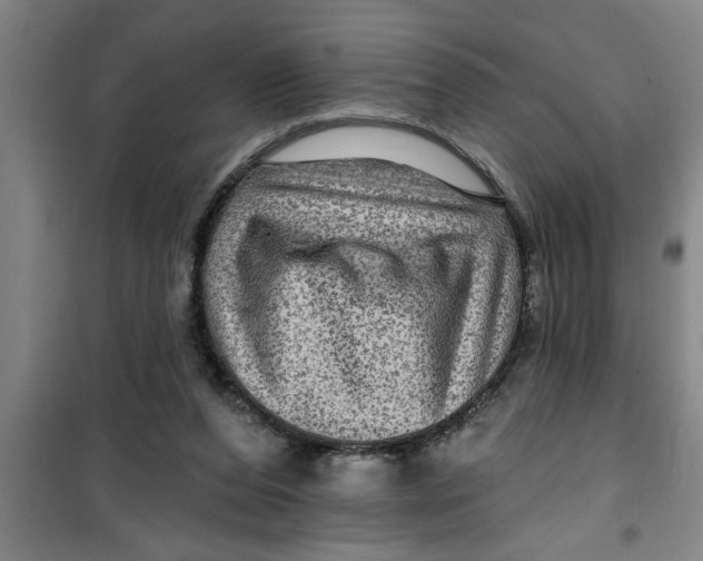X0000099480208200805301626