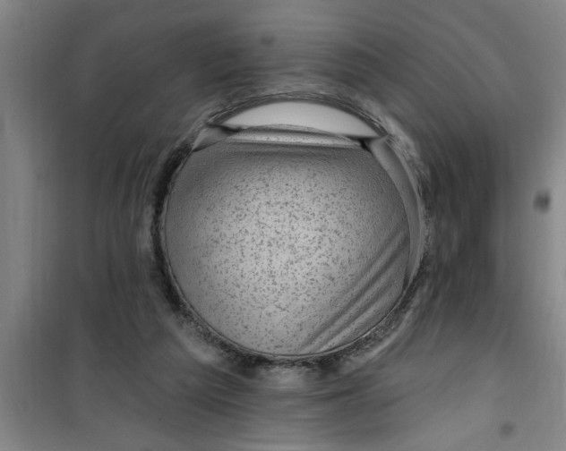 X0000099480209200805301626
