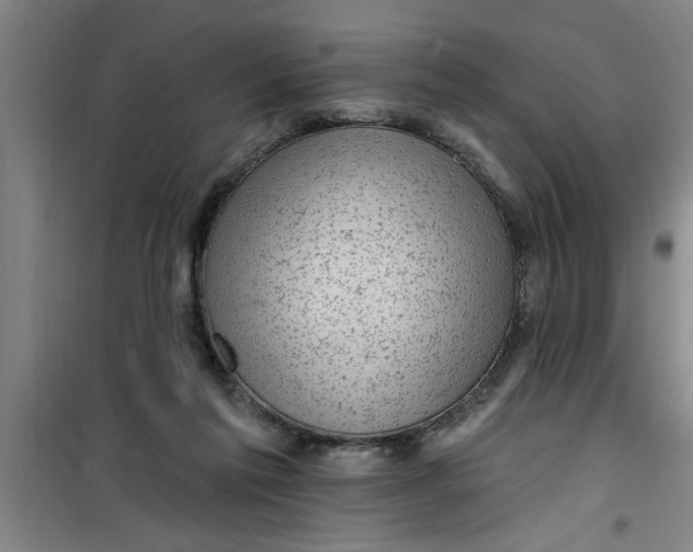 X0000099480213200805301626