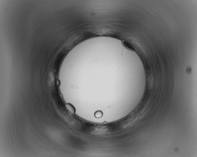 X0000099480214200805301626