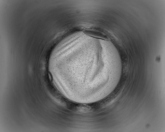 X0000099480215200805301626