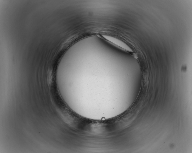 X0000099480216200805301626