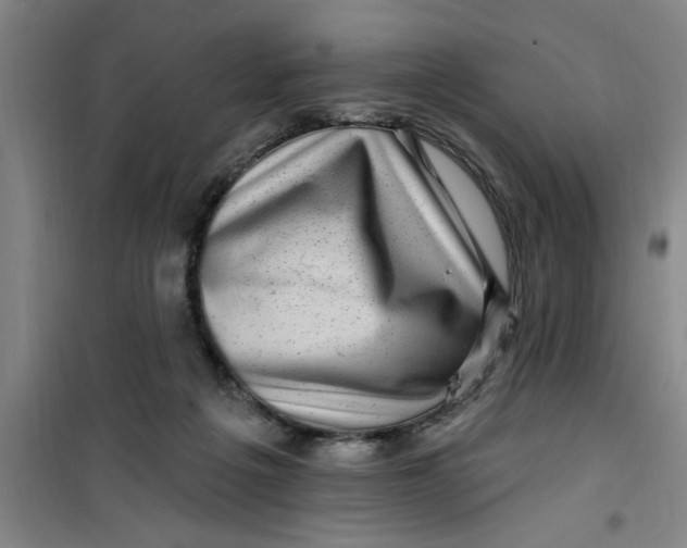 X0000099480217200805301626