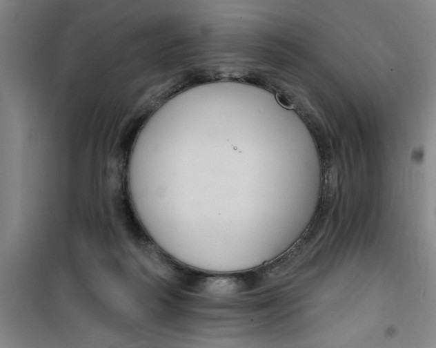 X0000099480218200805301626