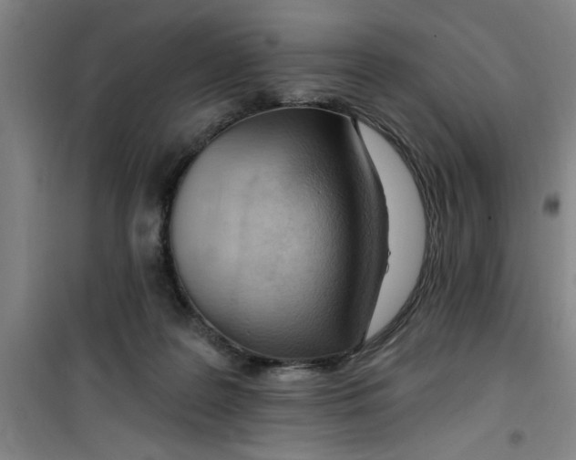 X0000099480219200805301626