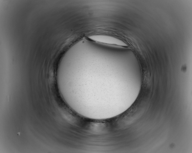 X0000099480220200805301625