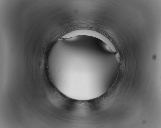 X0000099480221200805301625