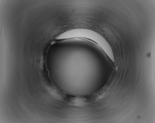 X0000099480223200805301625