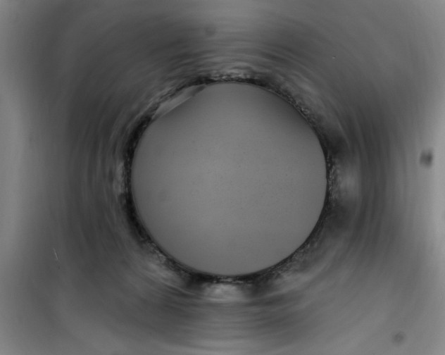 X0000099480224200805301625