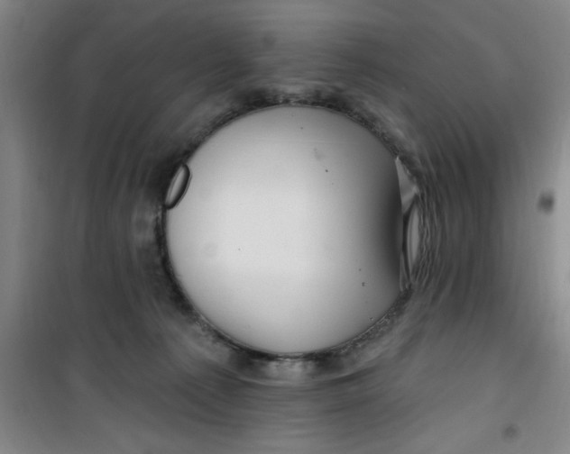 X0000099480225200805301625