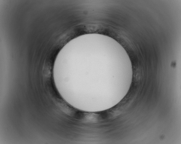 X0000099480226200805301625