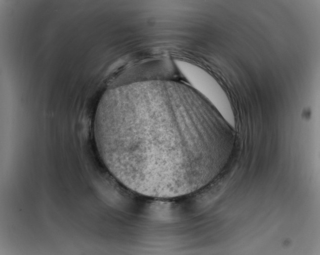 X0000099480227200805301625