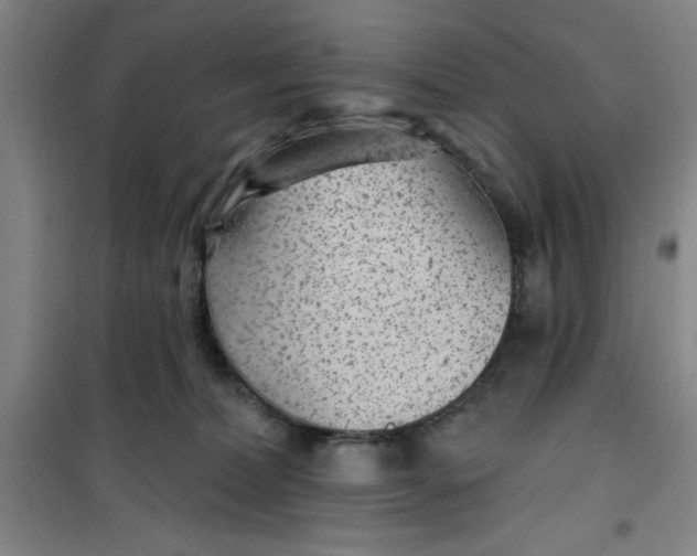 X0000099480228200805301625
