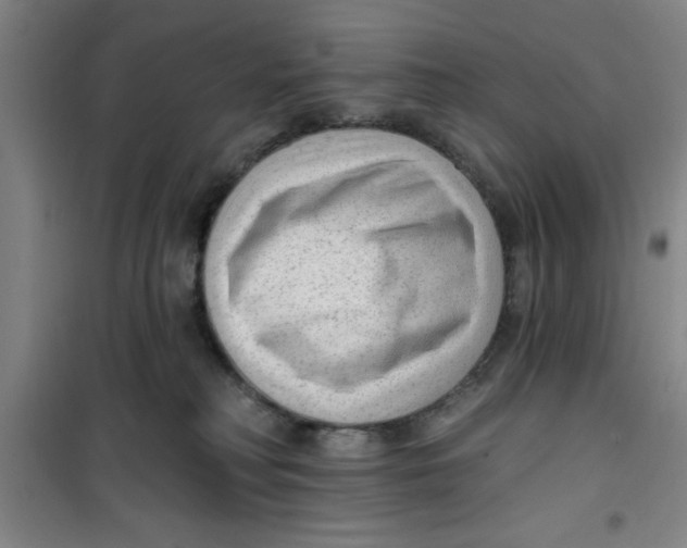 X0000099480230200805301625