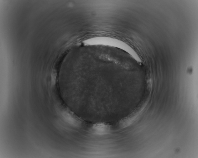X0000099480231200805301625